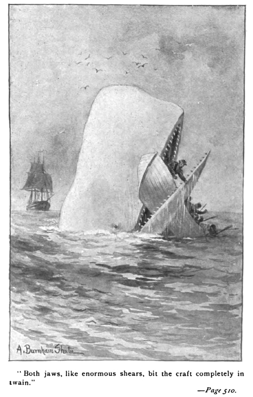 Moby Dick attacking a skiff